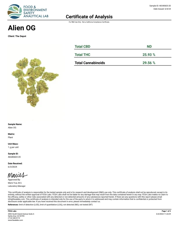 Alien OG - Image 4