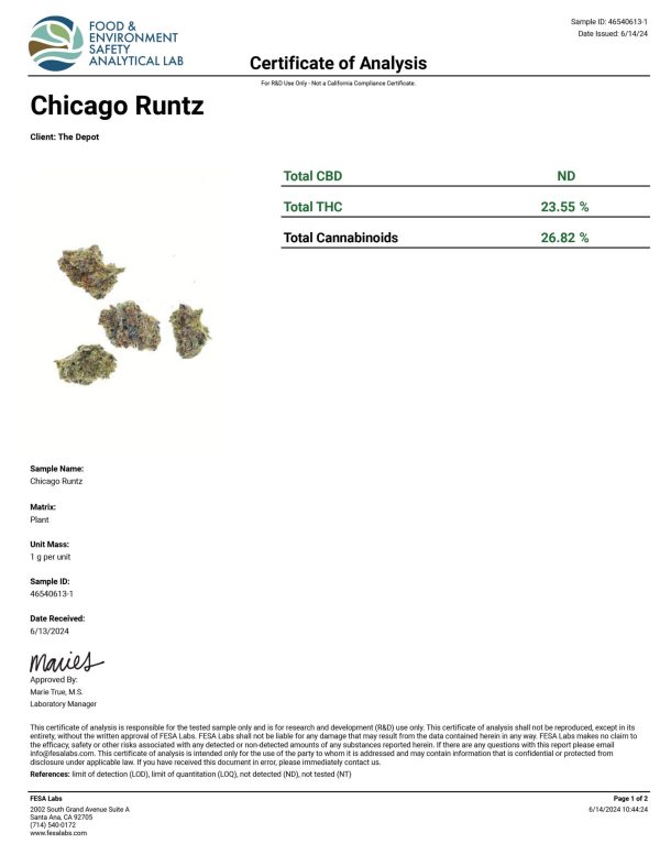 Chicago Runtz-Smalls - Image 2