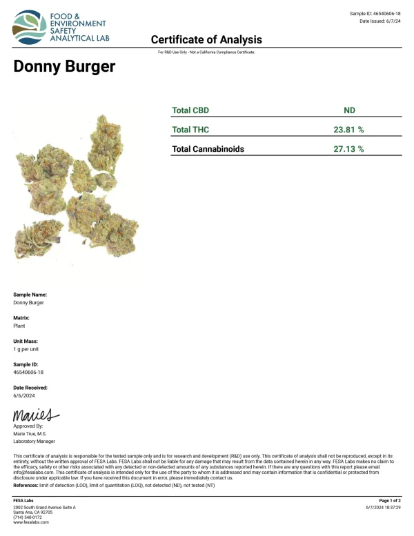 Donny Burger - Image 2