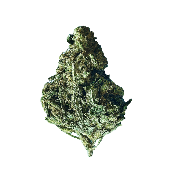 Alien OG - Image 2