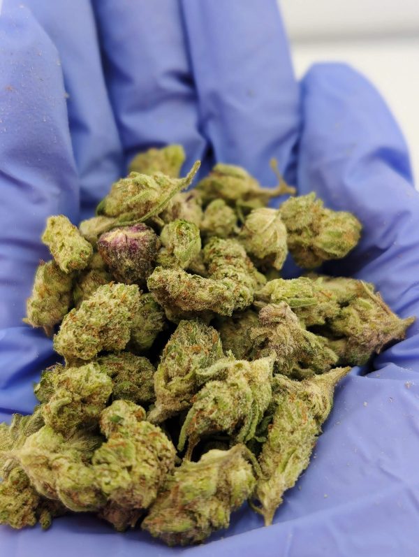 Gorilla Truffle Smalls - Image 2